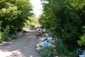 Запоріжжя: З відходами боротимуться комплексно