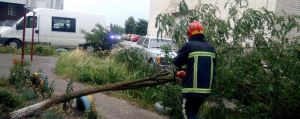 Хмельниччина: Щоб електромережі не страждали від буревіїв