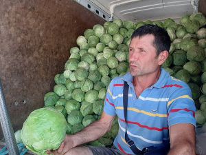 Городництво стримує заробітчанство