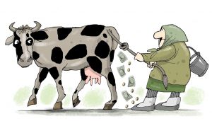 Зріє молочна революція
