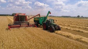 Дощі додали в засіки кожну п’яту тонну зерна
