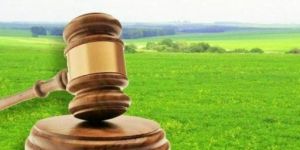 Миколаївщина: Земельні торги наповнюють бюджети