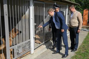 Рівненщина: Запрацював оновлений кінологічний центр