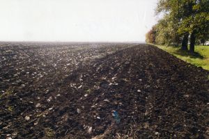 На Запоріжжі дерибанять землі