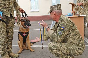 Нагороди кінологічним розрахункам