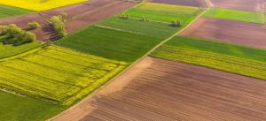 Кіровоградщина — лідер за обсягами продажів землі