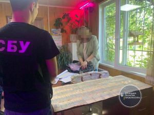 Донеччина: Чиновницю райспоживспілки спіймали на двомільйонному хабарі