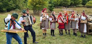 Закарпаття: «Гуцульські сирні плаї»