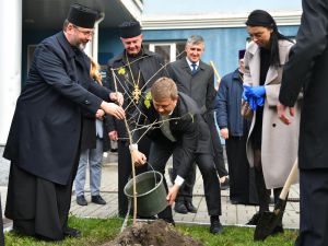 Рівненщина: Релігійні лідери висадили калину біля перинатального центру