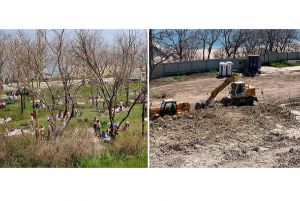 Чому морське узбережжя перетворюється на кам’яні джунглі