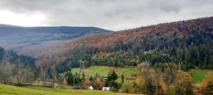 Шляхами незвіданих Карпат