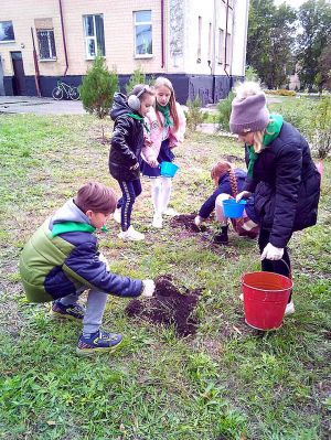 Створюють ліси на Кіровоградщині