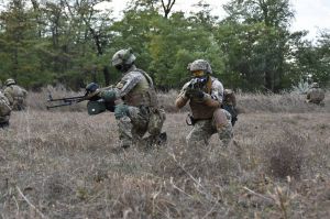 Висадка десанту на берег Дунаю