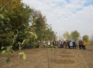 Рівненщина: У Теслугові висадили сад