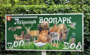 У Луцькому зоопарку потерпіли мавпи