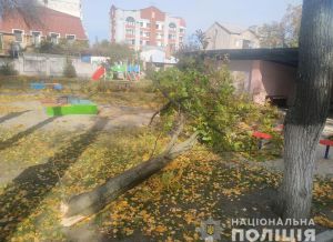 Смертельна прогулянка: у дитсадку на малечу впало дерево