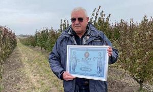 Сила кизилу 