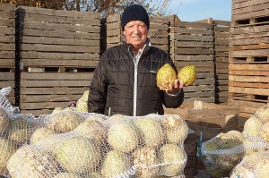Проміняв картоплю на селеру