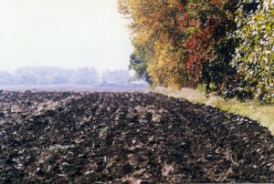 Землю дали — землю взяли, а чи всі громади отримали зиск від цього?