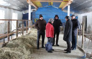 Міська рада створила фермерське господарство
