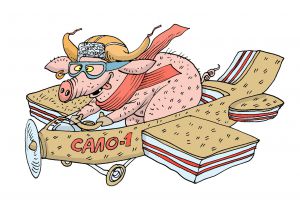 Індекс сала 