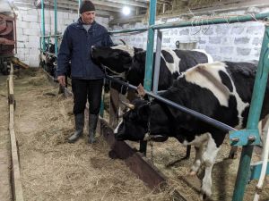 Мельники не хочуть гнути спину на чужині
