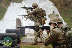 Система національного спротиву — стратегія асиметричної відповіді агресору