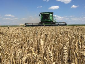 Виробили найбільше продукції на одного краянина