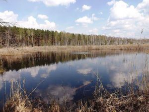 Земля під арештом