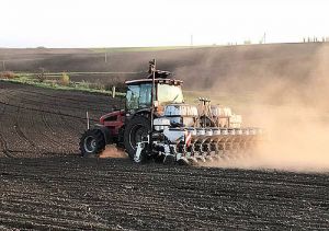 Структура посівних площ суттєво зміниться 