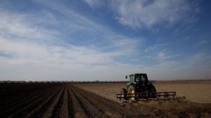 Посівна набирає обертів 