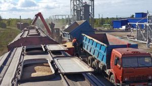 Україна, потерпаючи від військової навали, намагається рятувати світ від голоду