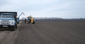 Вінниччина: Щоб мати більше хліба, розширюють площі продовольчих культур