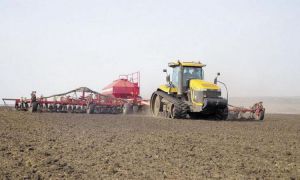 Сівба після розмінування