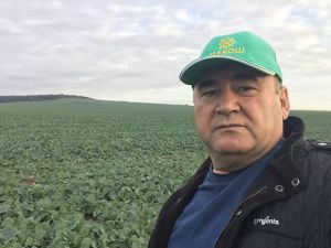 Не впадаємо у відчай, а прораховуємо різні варіанти, як збирати, чистити, сушити і складувати вирощене