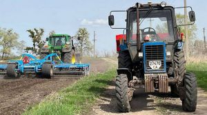 Черкащина: На полях і вдень, і вночі