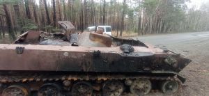 Помста Рудого лісу