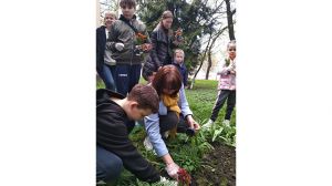 Діти-переселенці висадили «Тюльпановий рай» і не тільки