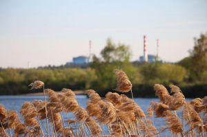 Усі діючі українські АЕС працюють у штатному режимі 