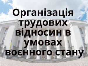 Верховна Рада має намір забезпечити належний рівень гнучкості трудових відносин в умовах воєнного стану