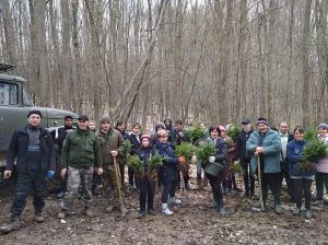 Весна – найрадісніша пора для лісівника