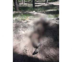 Зв’язали руки та ноги, заклеїли очі…