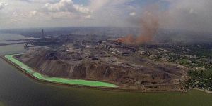 Морська флора та фауна Азовського моря можуть зникнути