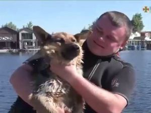 Знайомтесь, аква-Найда – рятувальниця!