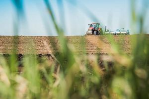 Із весняною сівбою впоралися – насіння лягло у ґрунт на всій запланованій площі
