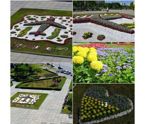 Легендарна «Мрія» розквітла у Деснянському районі столиці