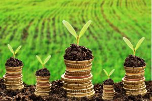 Аграрії в рамках програми «Доступні кредити 5-7-9% отримали 38,5 млрд грн