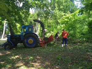 Упорядкували міський парк