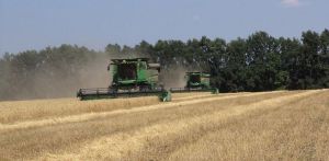 Скорочення посівних площ продовольчій безпеці країни не загрожує