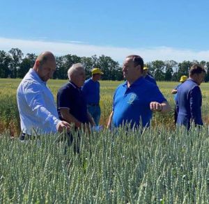Українські селекціонери підкорюють Європу